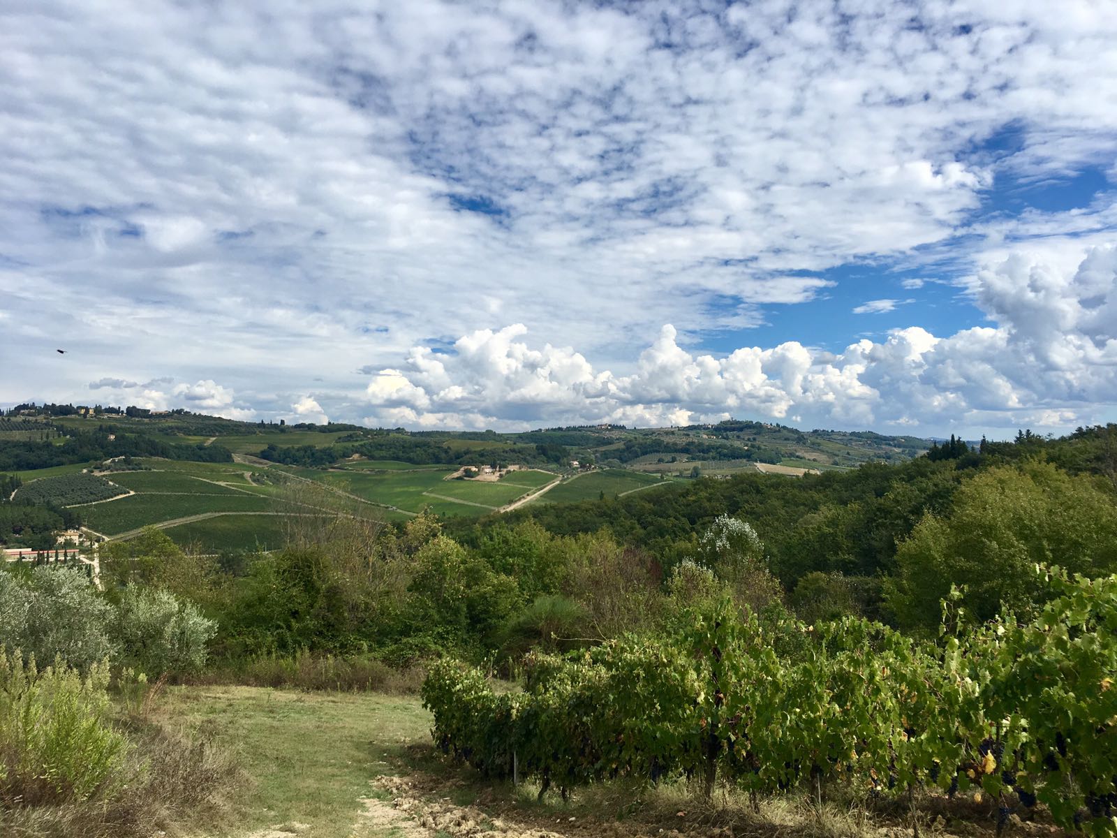 La nostra Terra