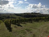 Barberino Val d'Elsa
