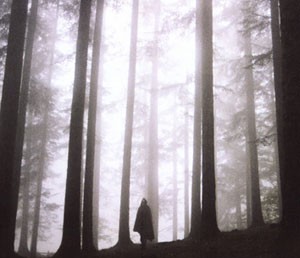 Le foreste sacre
