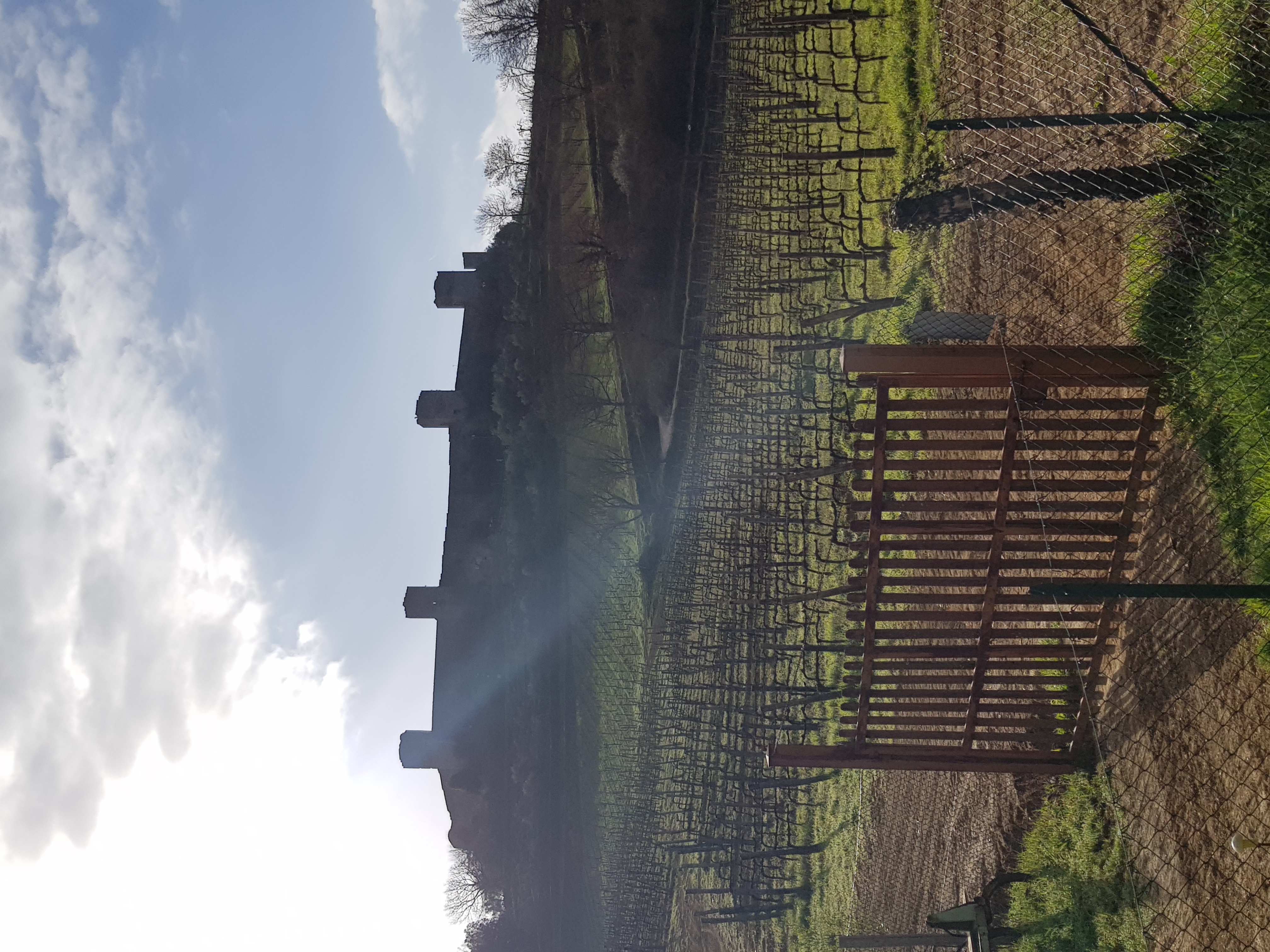 Monteriggioni