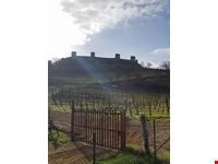 Monteriggioni