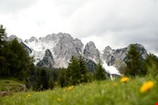 foto Alpi Giulie