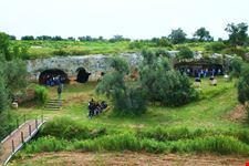 Insediamenti Antichi