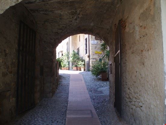  Cervo marianna prandi marianna prandi
