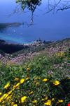 Veduta su Giglio porto dal sentiero
