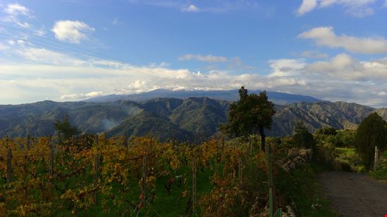 Campagna intorno a Graniti Graniti  