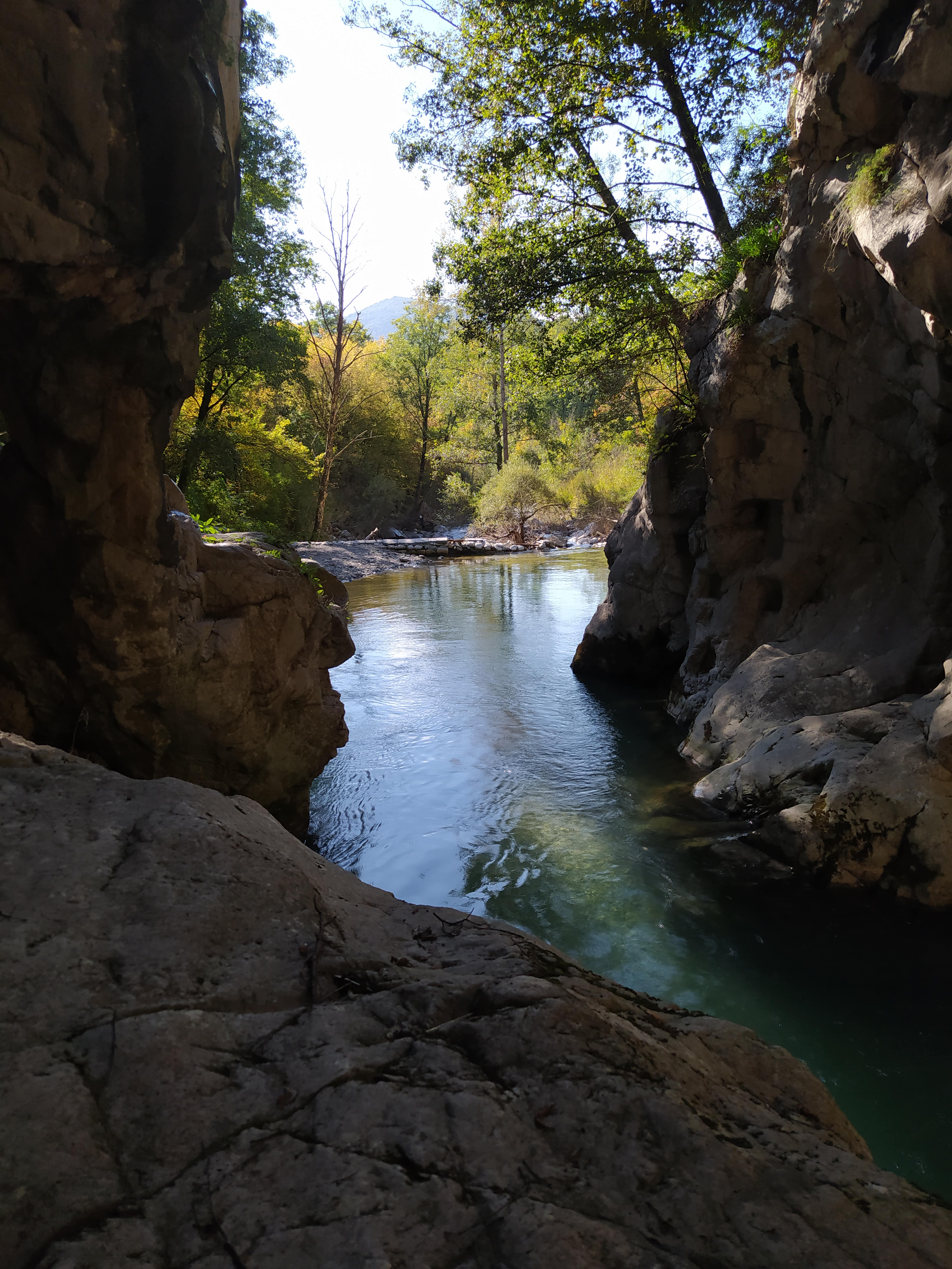 1633610218194-min