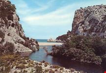 Cala Elune