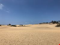 Las Palmas de Gran Canaria