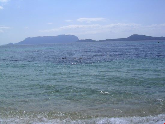 Splendide spiagge Mare di Bados con Tavolara come sfondo Carla Cristina Loddo Carla Cristina Loddo