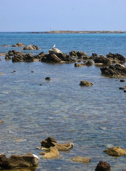  sardegna alessandro bianchi alessandro bianchi