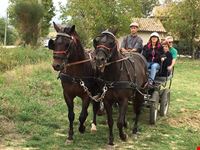 Tour in carrozza