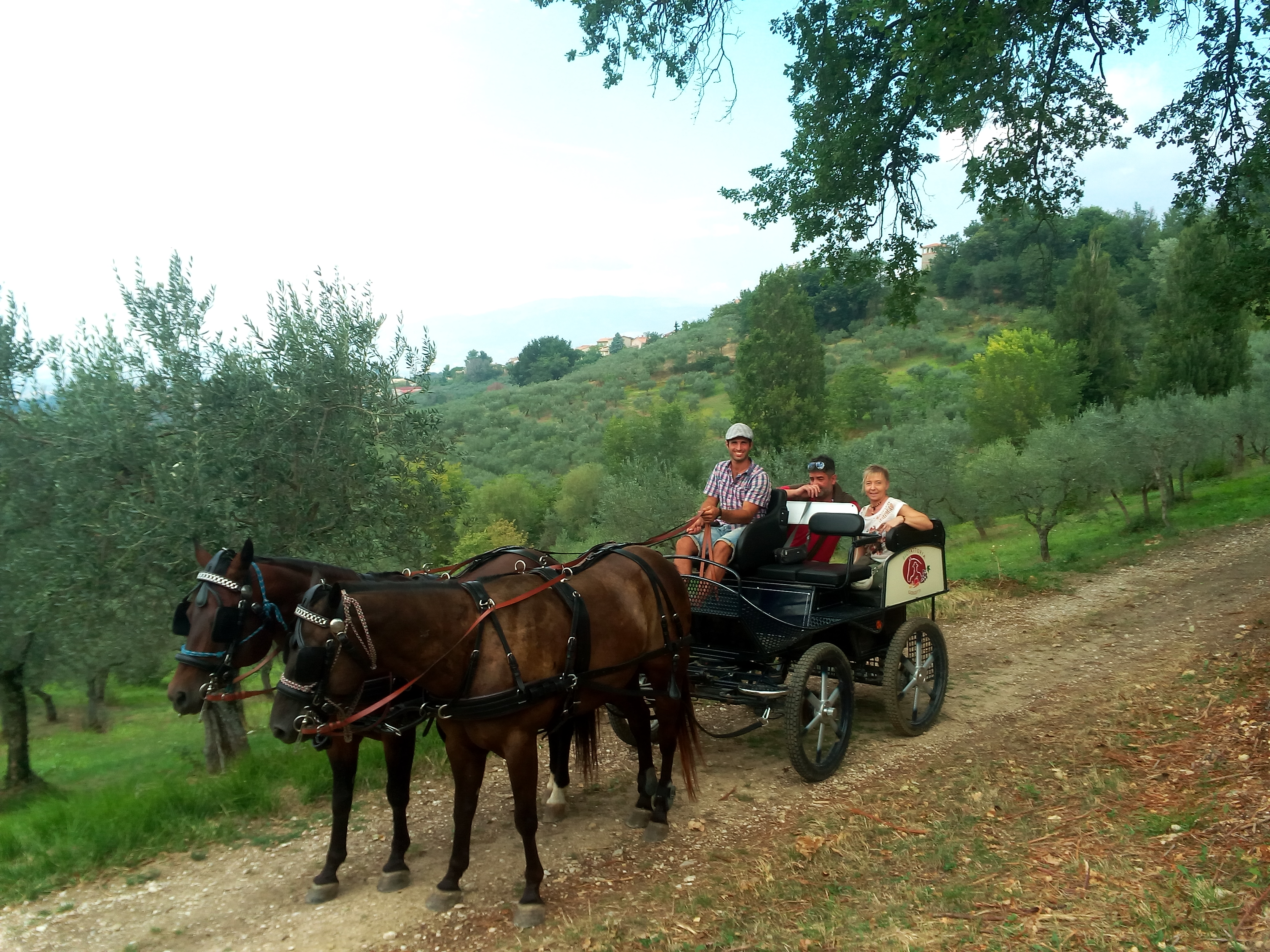 Tour in carrozza