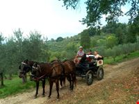 Tour in carrozza