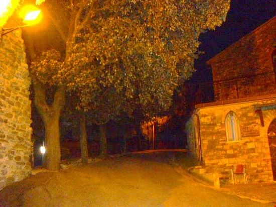  Magione LAVINIA BERTI LAVINIA BERTI