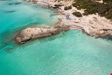 Punta della suina