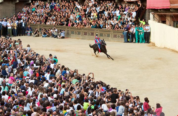 palio di siena 2022_226186540