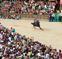 palio di siena 2022_226186540 palio di siena 2022_226186540