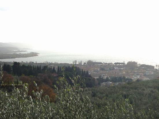 lago