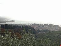 lago