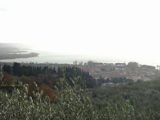 Il Lago Bolsena LAVINIA BERTI LAVINIA BERTI