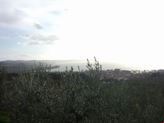 Il Lago Bolsena LAVINIA BERTI LAVINIA BERTI