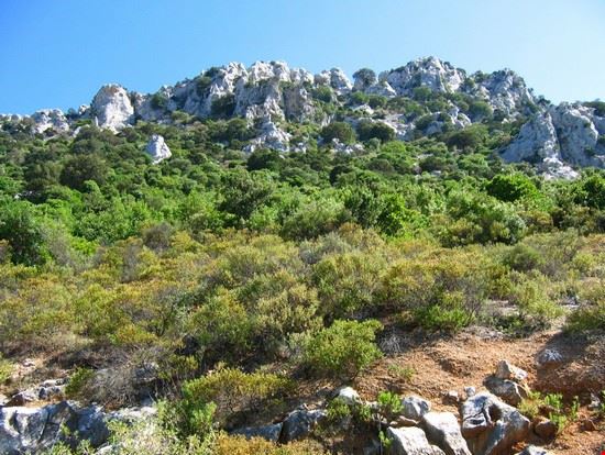 Voragine Ispinigoli Ispinigoli sardegna alessandro bianchi alessandro bianchi