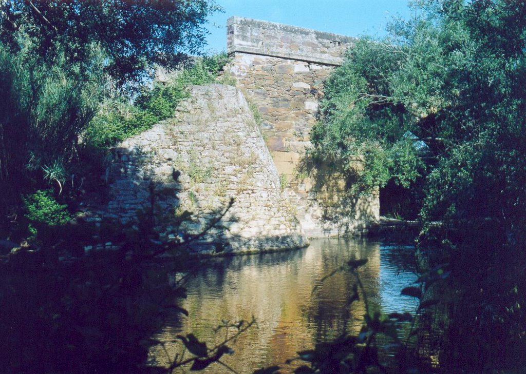 Ponte Segafenu