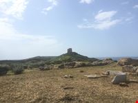 Collina di Murru Mannu 