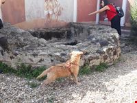 Vasca termale romana