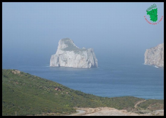 Pan Di Zucchero