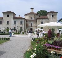 OrTicino - Scorcio della villa OrTicino - Scorcio della villa