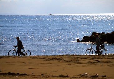 LAGUNA & BICI