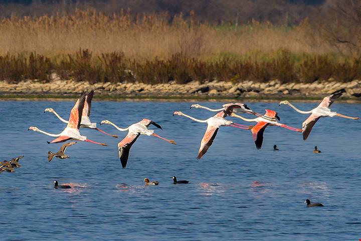 Passeggiate e veleggiate poetiche tra Ventotene e il Circeo | PaesiOnLine