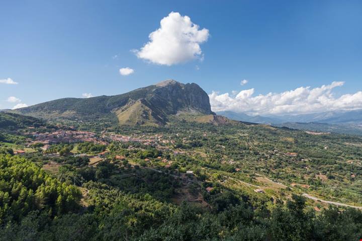 Vigneti con vista nella bassa Campania | PaesiOnLine