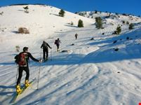 Sci alpinismo