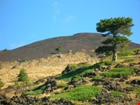 Monte Nero degli Zappini