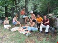picnic