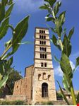 Vasanello