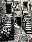 Vasanello