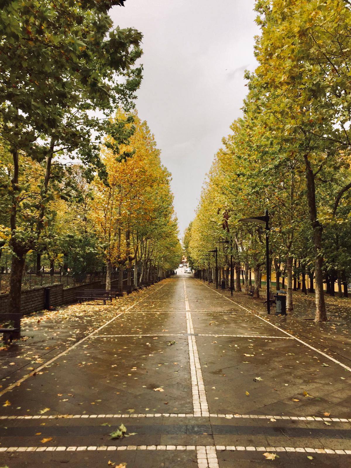 Via Marconi - La Passeggiata