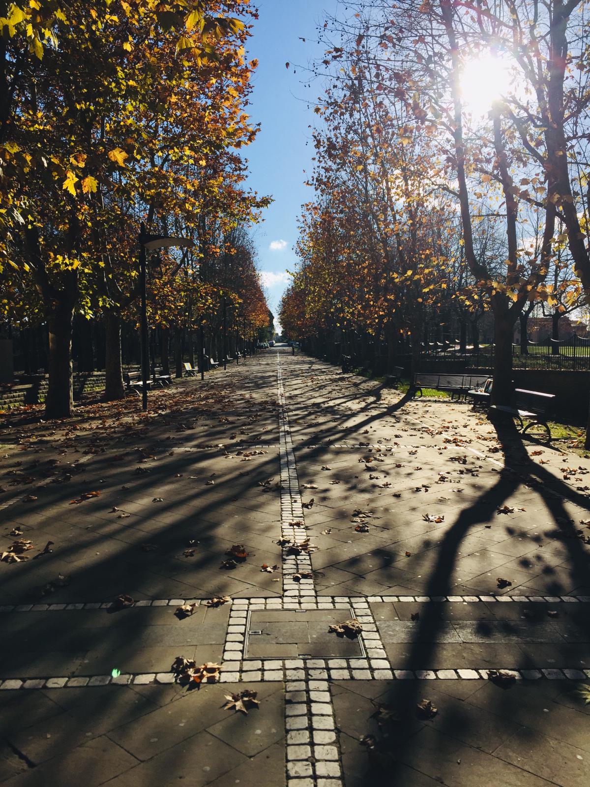 Via Marconi - La Passeggiata