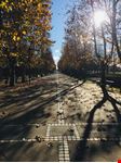 Via Marconi - La Passeggiata