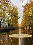 Via Marconi - La Passeggiata