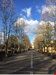 Via Marconi - La Passeggiata