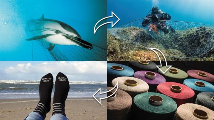 Articolo_Going_Circular_img
