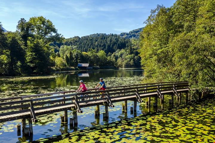 Le meraviglie della Germania verde | PaesiOnLine