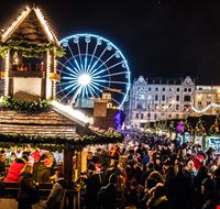 pexels-mateusz-dach-1674432 pexels-mateusz-dach-1674432