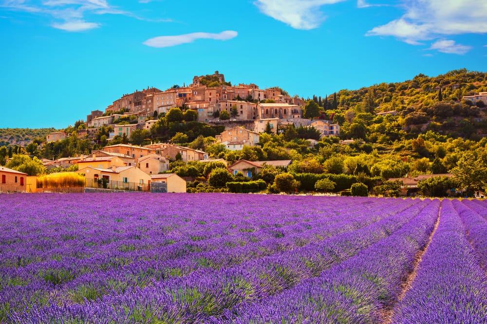 La Francia e il segreto dei suoi sapori | PaesiOnLine