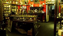 Nautilus Antiques